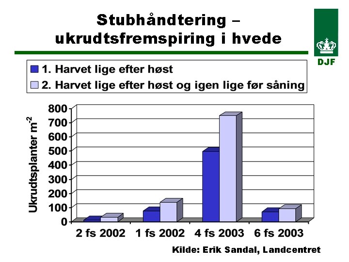 Stubhåndtering – ukrudtsfremspiring i hvede DJF Kilde: Erik Sandal, Landcentret 