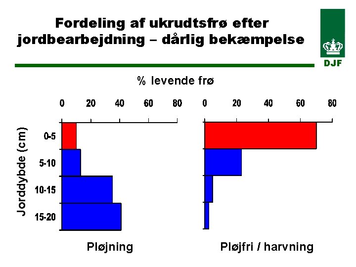 Fordeling af ukrudtsfrø efter jordbearbejdning – dårlig bekæmpelse DJF Jorddybde (cm) % levende frø