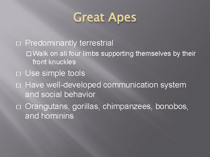 Great Apes � Predominantly terrestrial � Walk on all four limbs supporting themselves by