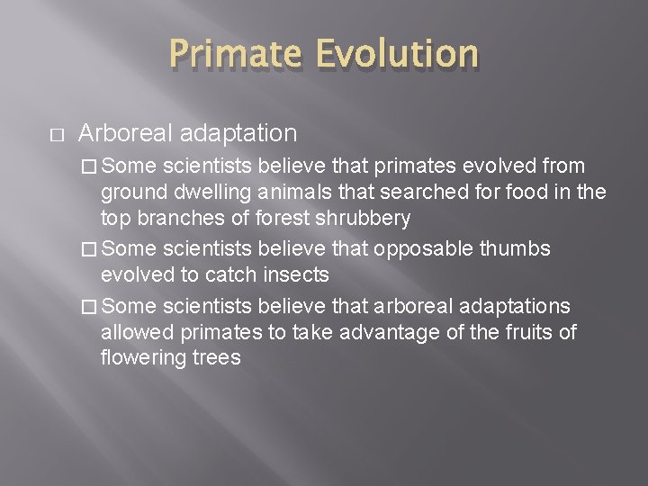 Primate Evolution � Arboreal adaptation � Some scientists believe that primates evolved from ground