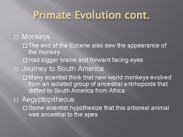 Primate Evolution cont. � Monkeys � The end of the Eocene also saw the