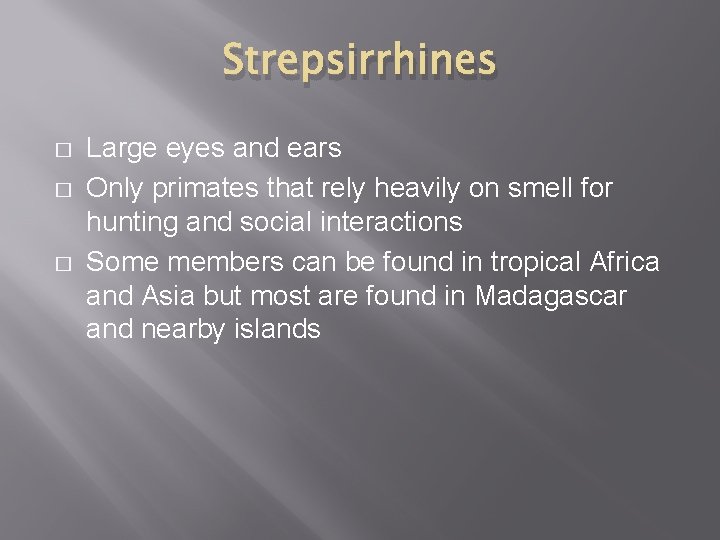 Strepsirrhines � � � Large eyes and ears Only primates that rely heavily on