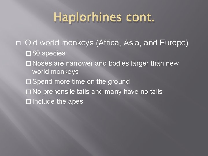 Haplorhines cont. � Old world monkeys (Africa, Asia, and Europe) � 80 species �