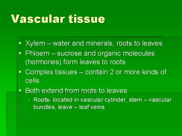 Vascular tissue § Xylem – water and minerals, roots to leaves § Phloem –