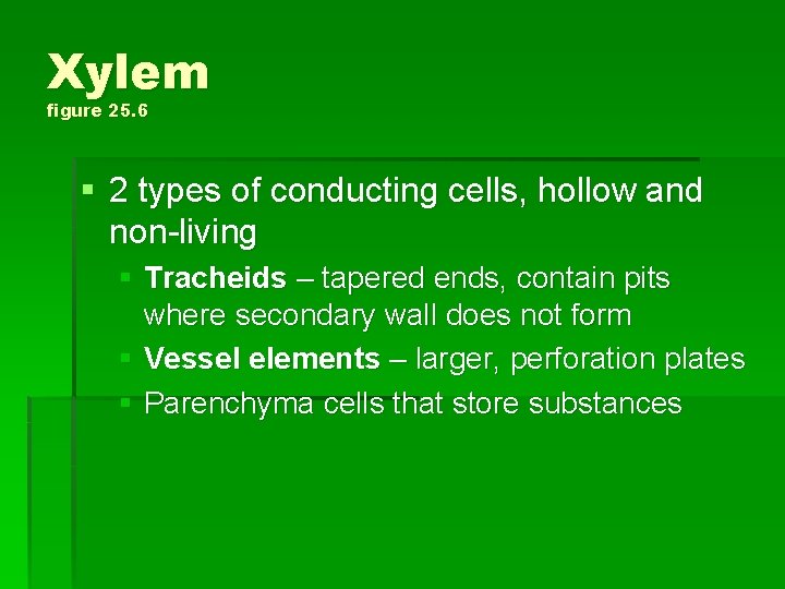 Xylem figure 25. 6 § 2 types of conducting cells, hollow and non-living §