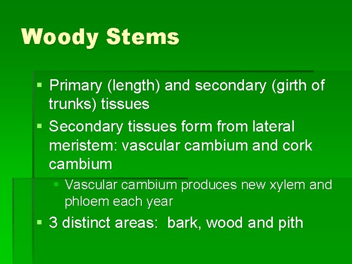 Woody Stems § Primary (length) and secondary (girth of trunks) tissues § Secondary tissues