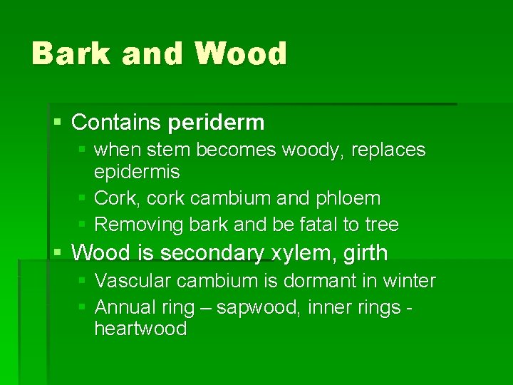 Bark and Wood § Contains periderm § when stem becomes woody, replaces epidermis §