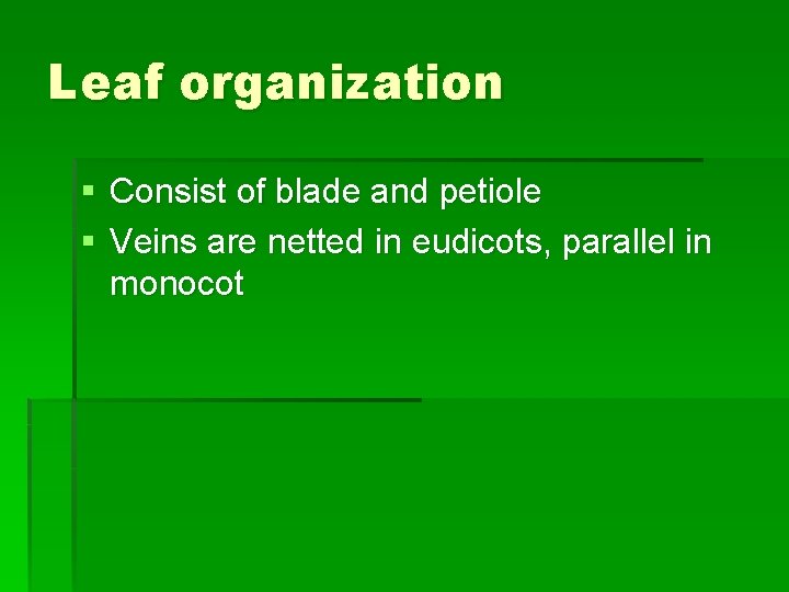 Leaf organization § Consist of blade and petiole § Veins are netted in eudicots,