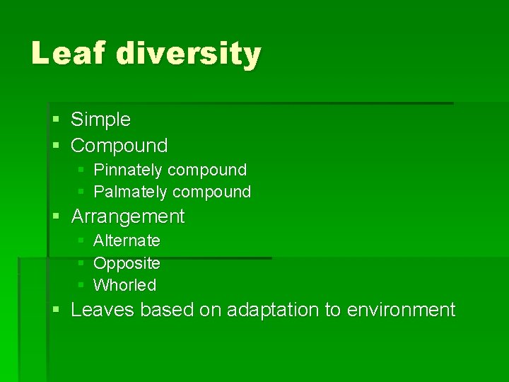 Leaf diversity § Simple § Compound § § Pinnately compound Palmately compound § Arrangement