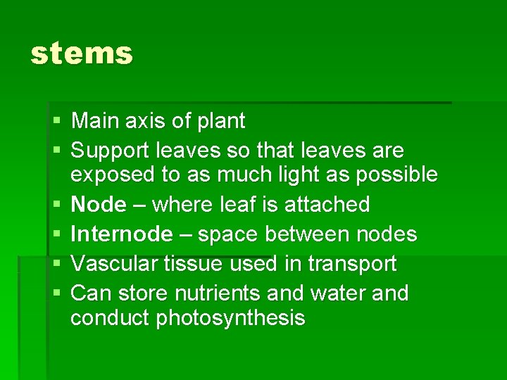 stems § Main axis of plant § Support leaves so that leaves are exposed