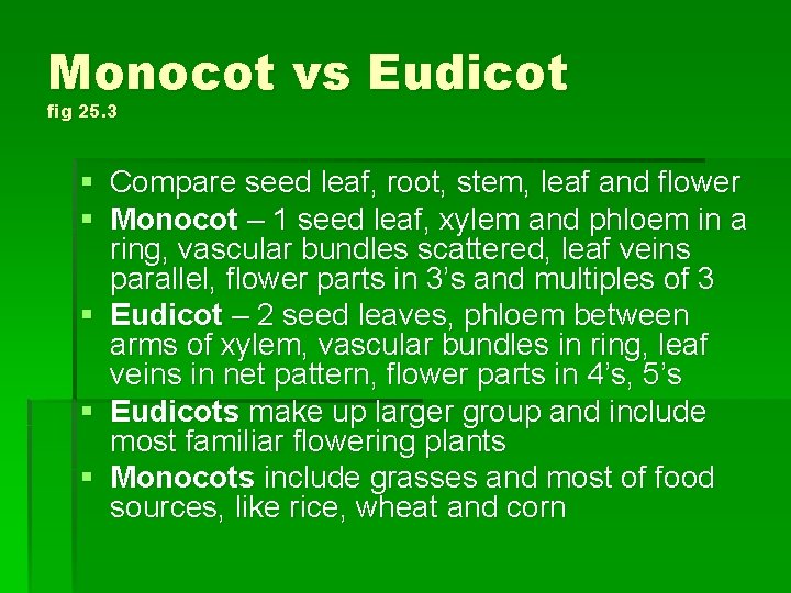Monocot vs Eudicot fig 25. 3 § Compare seed leaf, root, stem, leaf and