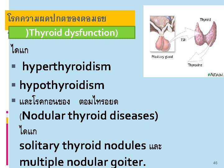 โรคความผดปกตของตอมธย รอยด)Thyroid dysfunction) ไดแก hyperthyroidism hypothyroidism และโรคกอนของ ตอมไทรอยด (Nodular thyroid diseases) ไดแก solitary thyroid