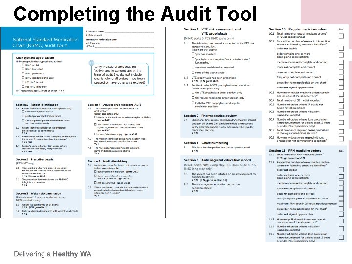 Completing the Audit Tool Completing the Audit Tool