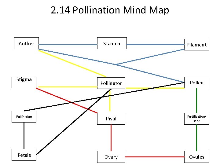 2. 14 Pollination Mind Map Anther Stigma Pollination Petals Stamen Filament Pollinator Pollen Pistil