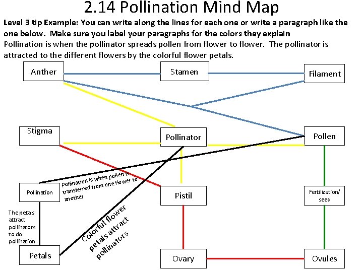 2. 14 Pollination Mind Map Level 3 tip Example: You can write along the