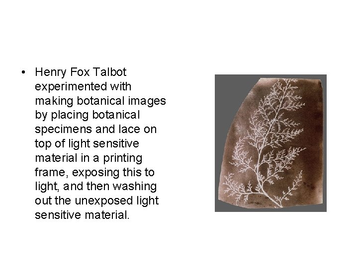 • Henry Fox Talbot experimented with making botanical images by placing botanical specimens • Henry Fox Talbot experimented with making botanical images by placing botanical specimens