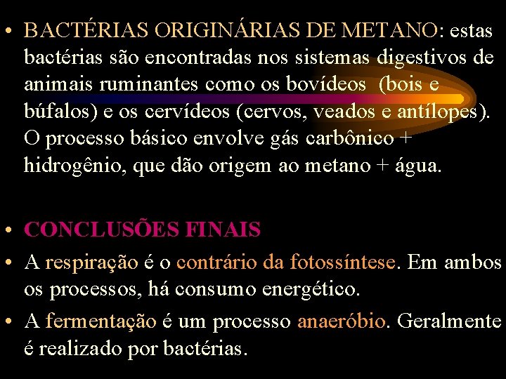  • BACTÉRIAS ORIGINÁRIAS DE METANO: estas bactérias são encontradas nos sistemas digestivos de