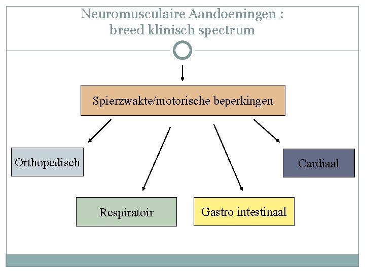 Neuromusculaire Aandoeningen : breed klinisch spectrum Spierzwakte/motorische beperkingen Orthopedisch Cardiaal Respiratoir Gastro intestinaal Neuromusculaire Aandoeningen : breed klinisch spectrum Spierzwakte/motorische beperkingen Orthopedisch Cardiaal Respiratoir Gastro intestinaal