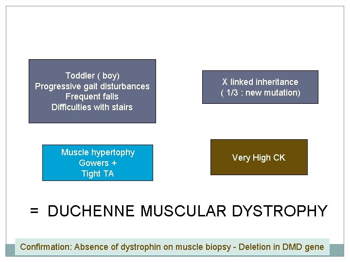 Toddler ( boy) Progressive gait disturbances Frequent falls Difficulties with stairs Muscle hypertophy Gowers Toddler ( boy) Progressive gait disturbances Frequent falls Difficulties with stairs Muscle hypertophy Gowers