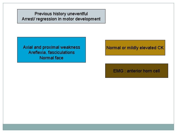 Previous history uneventful Arrest/ regression in motor development Axial and proximal weakness Areflexia, fasciculations Previous history uneventful Arrest/ regression in motor development Axial and proximal weakness Areflexia, fasciculations