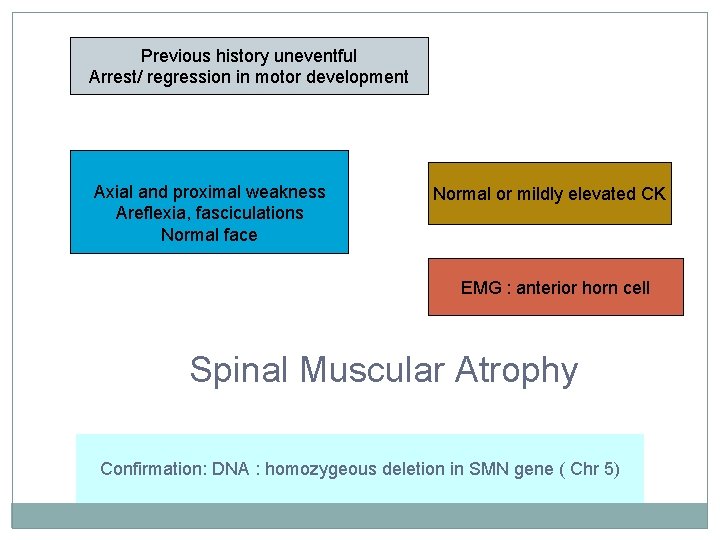 Previous history uneventful Arrest/ regression in motor development Axial and proximal weakness Areflexia, fasciculations Previous history uneventful Arrest/ regression in motor development Axial and proximal weakness Areflexia, fasciculations