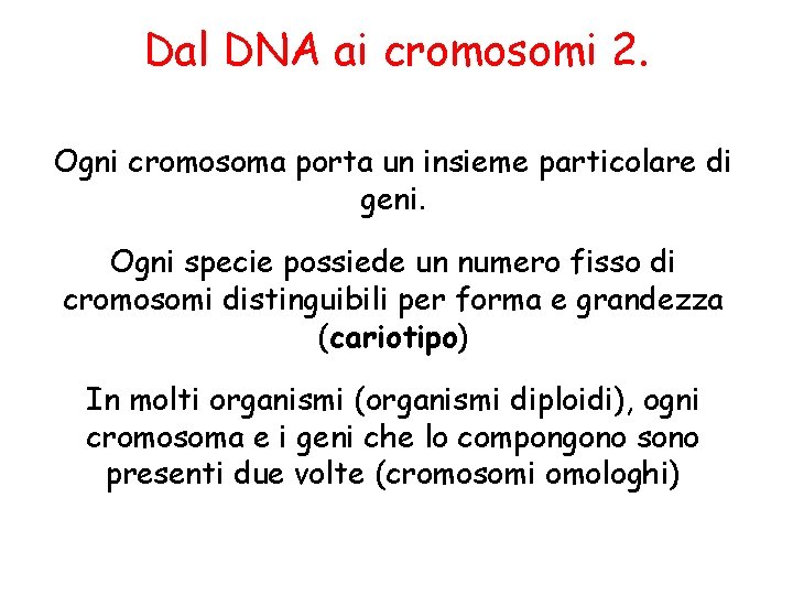 Dal DNA ai cromosomi 2. Ogni cromosoma porta un insieme particolare di geni. Ogni