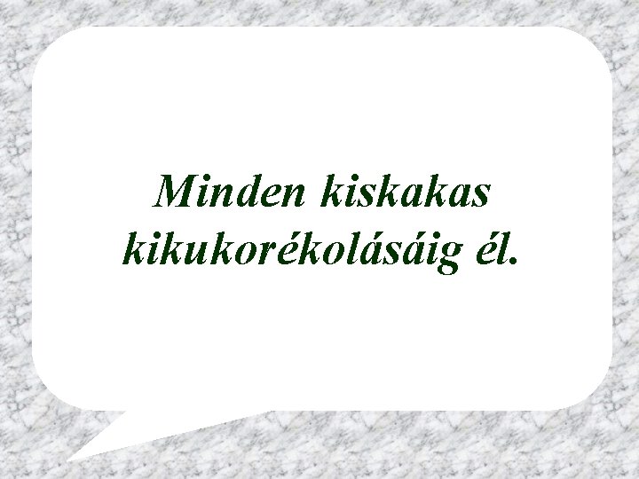 Minden kiskakas kikukorékolásáig él. 