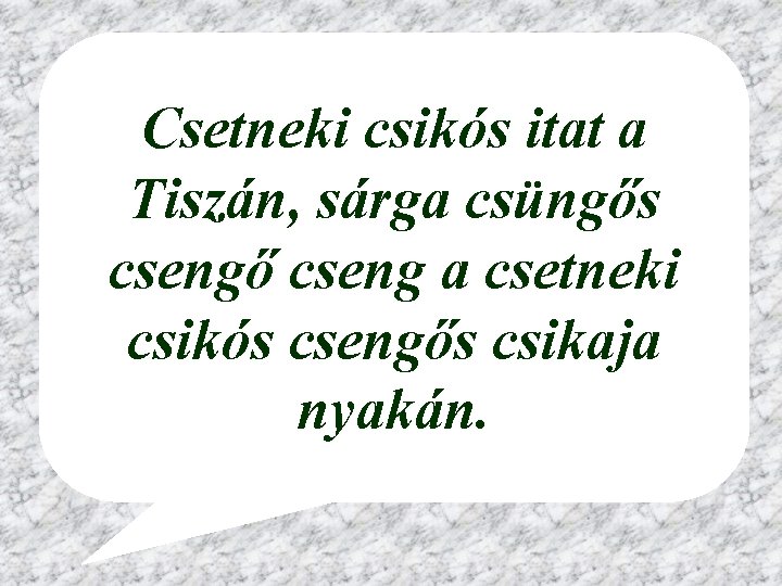 Csetneki csikós itat a Tiszán, sárga csüngős csengő cseng a csetneki csikós csengős csikaja