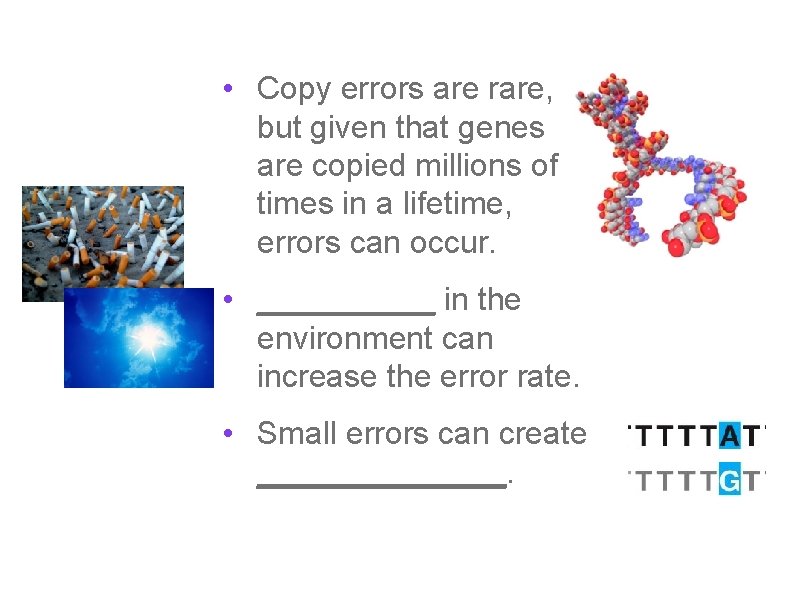  • Copy errors are rare, but given that genes are copied millions of
