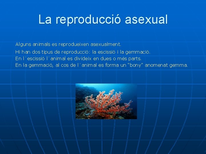 La reproducció asexual Alguns animals es reprodueixen asexualment. Hi han dos tipus de reproducció: