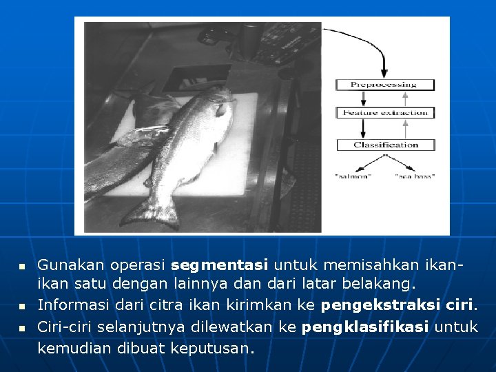 n n n Gunakan operasi segmentasi untuk memisahkan ikan satu dengan lainnya dan dari