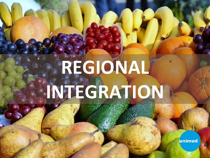 REGIONAL INTEGRATION 