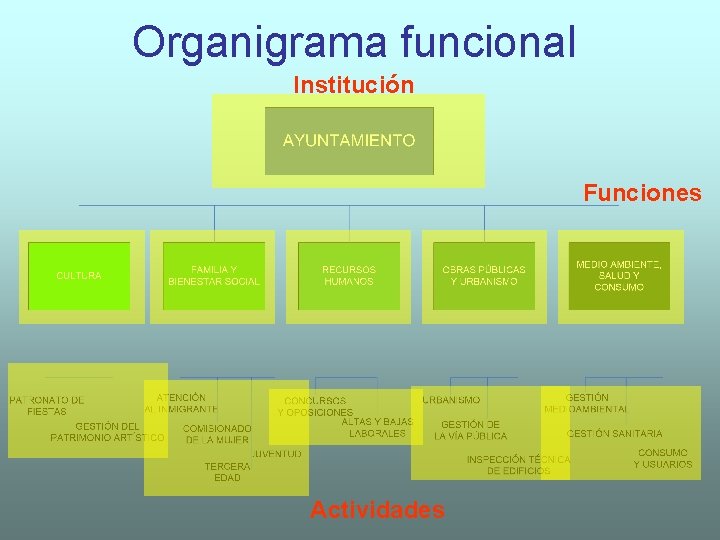 Organigrama funcional Institución Funciones Actividades 