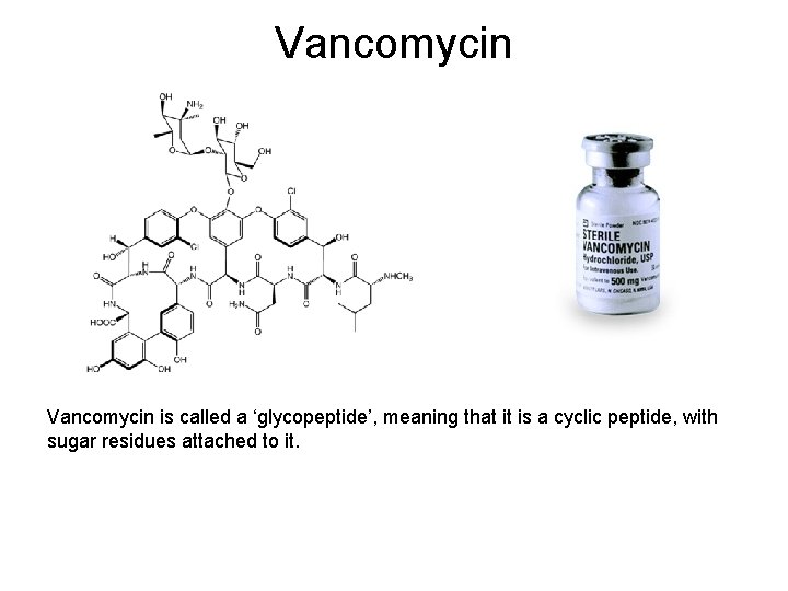 vancomycin prostatitis)
