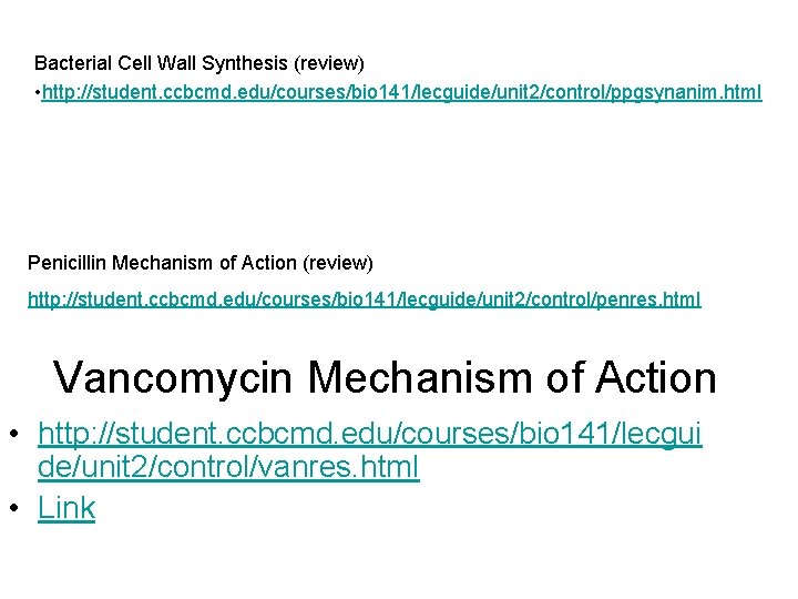 Bacterial Cell Wall Synthesis (review) • http: //student. ccbcmd. edu/courses/bio 141/lecguide/unit 2/control/ppgsynanim. html Penicillin