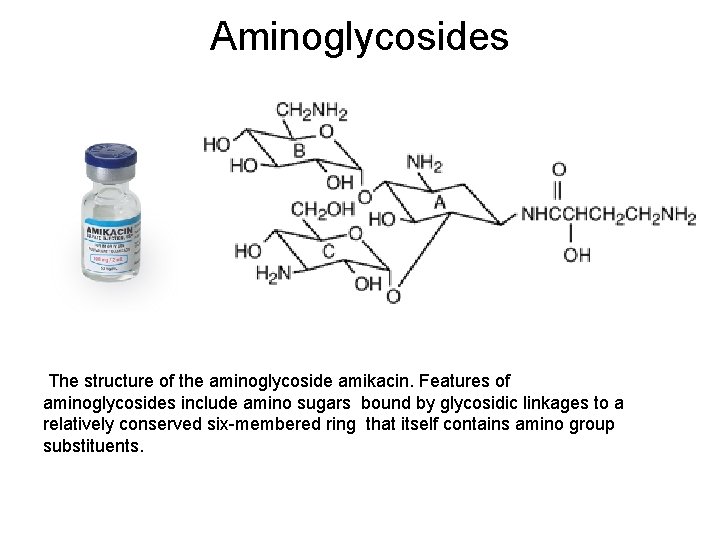 Aminoglycosides The structure of the aminoglycoside amikacin. Features of aminoglycosides include amino sugars bound Aminoglycosides The structure of the aminoglycoside amikacin. Features of aminoglycosides include amino sugars bound