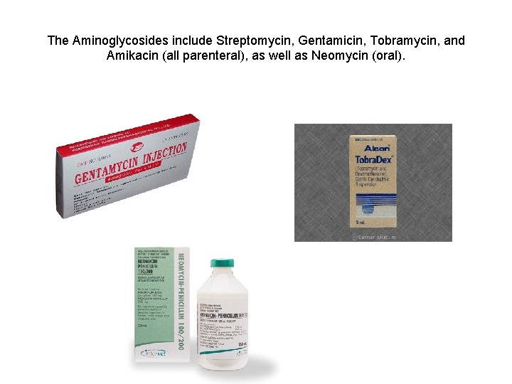 The Aminoglycosides include Streptomycin, Gentamicin, Tobramycin, and Amikacin (all parenteral), as well as Neomycin The Aminoglycosides include Streptomycin, Gentamicin, Tobramycin, and Amikacin (all parenteral), as well as Neomycin