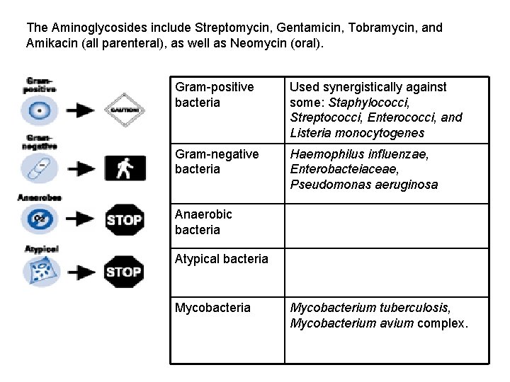 The Aminoglycosides include Streptomycin, Gentamicin, Tobramycin, and Amikacin (all parenteral), as well as Neomycin