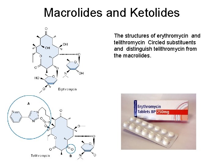 Macrolides and Ketolides The structures of erythromycin and telithromycin Circled substituents and distinguish telithromycin