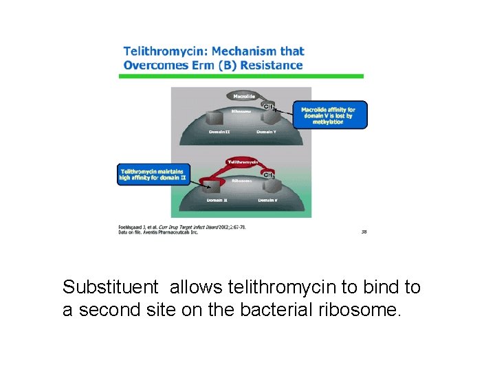 Substituent allows telithromycin to bind to a second site on the bacterial ribosome. Substituent allows telithromycin to bind to a second site on the bacterial ribosome.