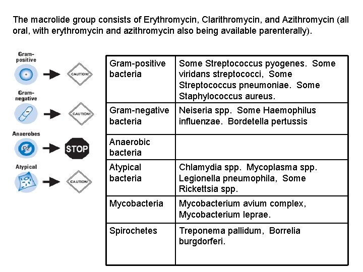 The macrolide group consists of Erythromycin, Clarithromycin, and Azithromycin (all oral, with erythromycin and The macrolide group consists of Erythromycin, Clarithromycin, and Azithromycin (all oral, with erythromycin and