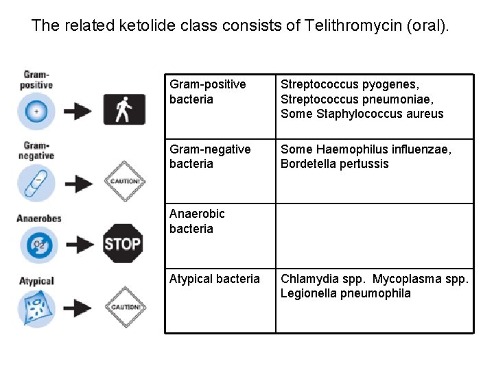 The related ketolide class consists of Telithromycin (oral). Gram-positive bacteria Streptococcus pyogenes, Streptococcus pneumoniae, The related ketolide class consists of Telithromycin (oral). Gram-positive bacteria Streptococcus pyogenes, Streptococcus pneumoniae,