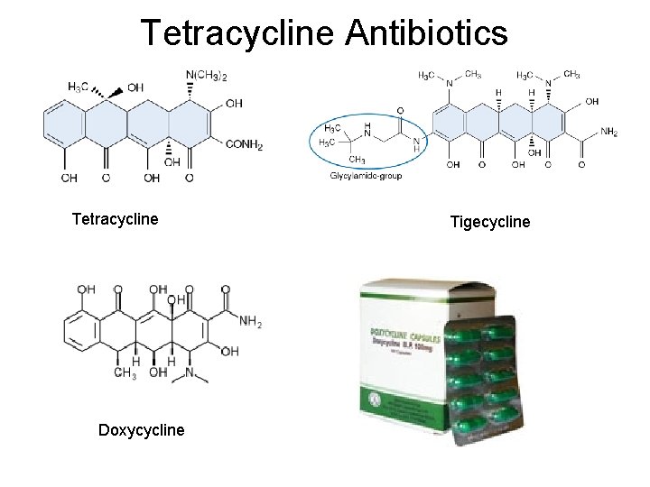 Tetracycline Antibiotics Tetracycline Doxycycline Tigecycline Tetracycline Antibiotics Tetracycline Doxycycline Tigecycline