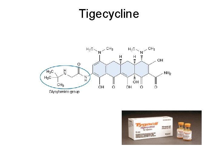 Tigecycline Tigecycline