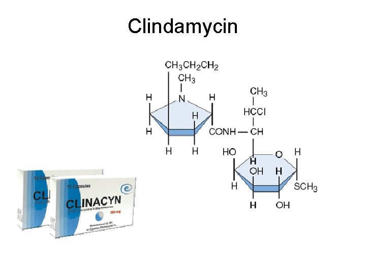 Clindamycin Clindamycin