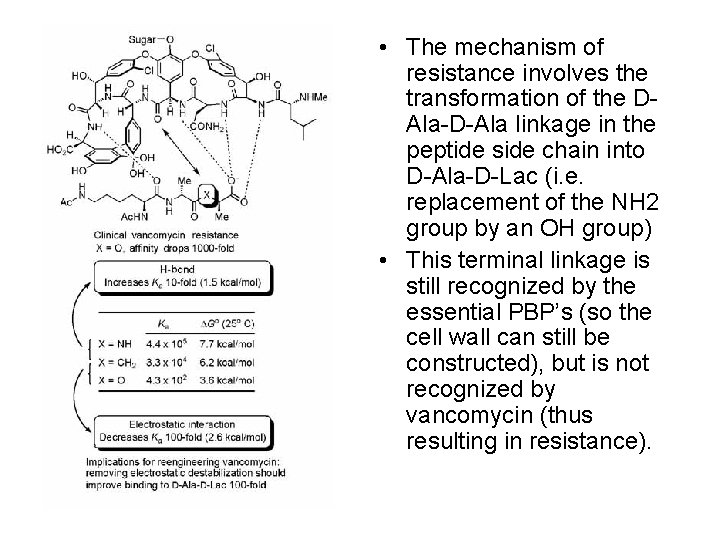 • The mechanism of resistance involves the transformation of the DAla-D-Ala linkage in • The mechanism of resistance involves the transformation of the DAla-D-Ala linkage in