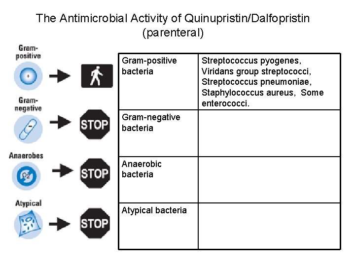 The Antimicrobial Activity of Quinupristin/Dalfopristin (parenteral) Gram-positive bacteria Gram-negative bacteria Anaerobic bacteria Atypical bacteria The Antimicrobial Activity of Quinupristin/Dalfopristin (parenteral) Gram-positive bacteria Gram-negative bacteria Anaerobic bacteria Atypical bacteria
