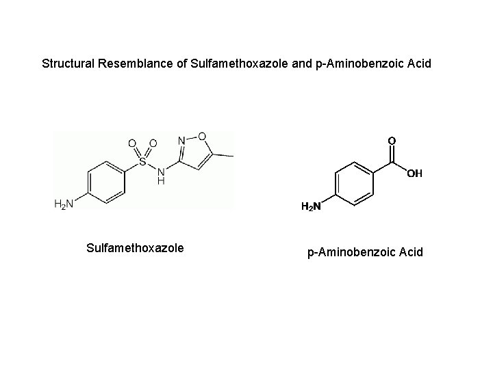 Structural Resemblance of Sulfamethoxazole and p-Aminobenzoic Acid Sulfamethoxazole p-Aminobenzoic Acid Structural Resemblance of Sulfamethoxazole and p-Aminobenzoic Acid Sulfamethoxazole p-Aminobenzoic Acid