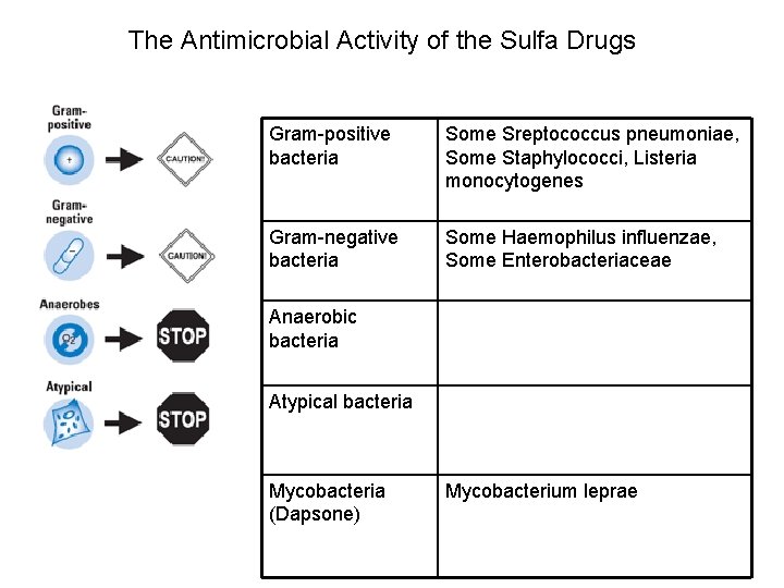 The Antimicrobial Activity of the Sulfa Drugs Gram-positive bacteria Some Sreptococcus pneumoniae, Some Staphylococci,