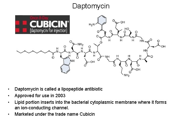 Daptomycin • • Daptomycin is called a lipopeptide antibiotic Approved for use in 2003